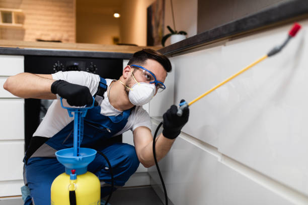 Best Emergency Pest Control  in Bement, IL