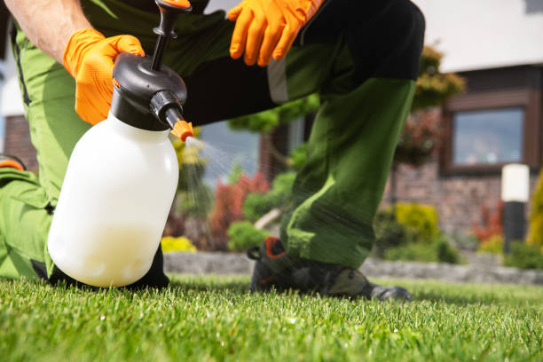 Wasp Removal Services in Bement, IL