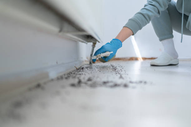 Best Pest Prevention Services  in Bement, IL